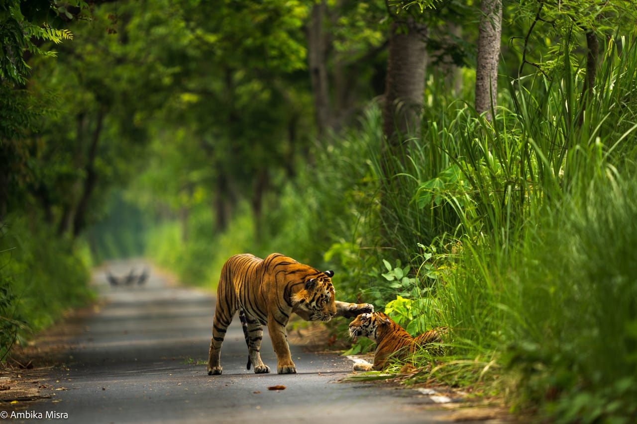 Environment Warriors